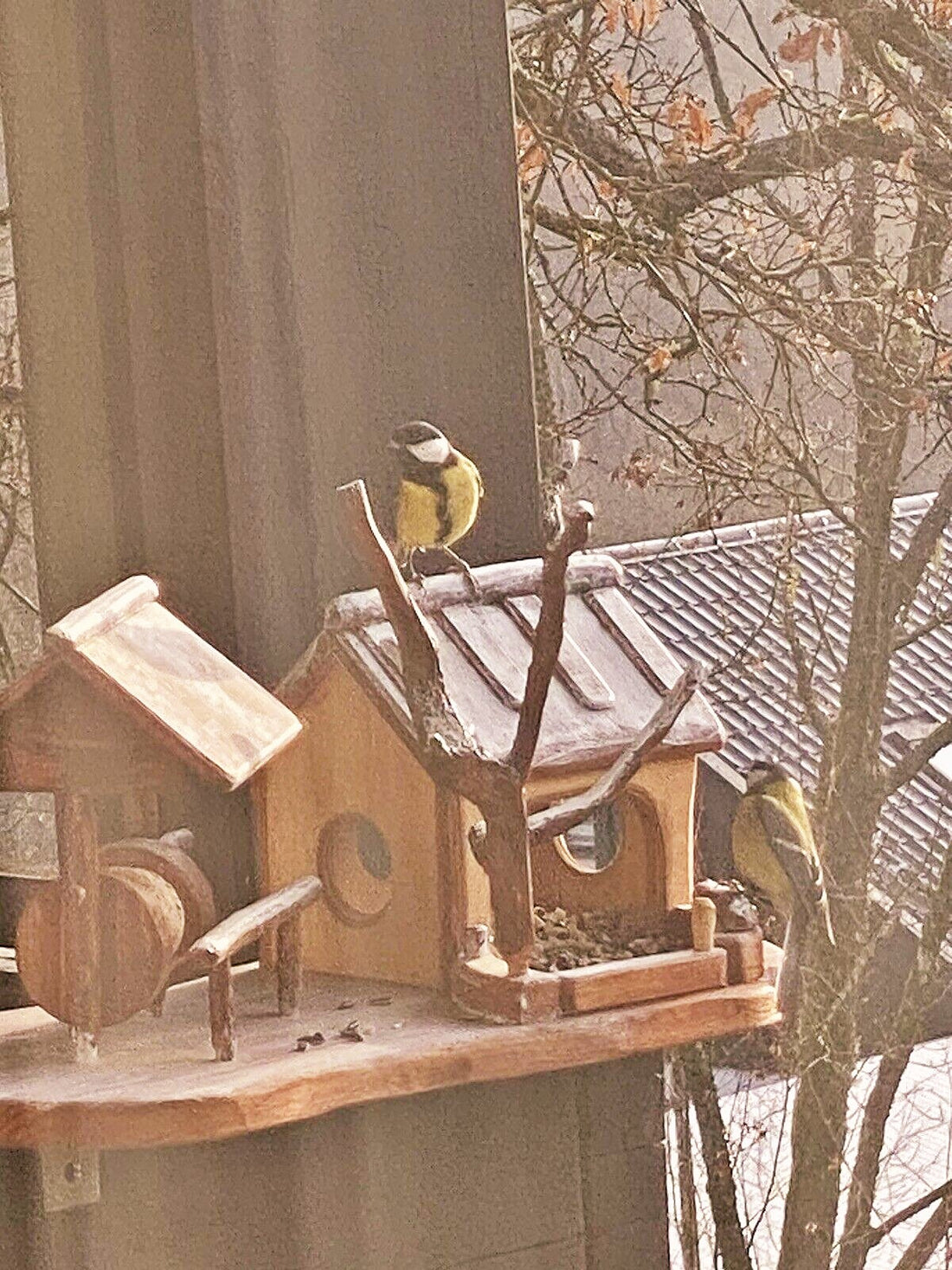 Ein Foto von einer Vogelfreundin