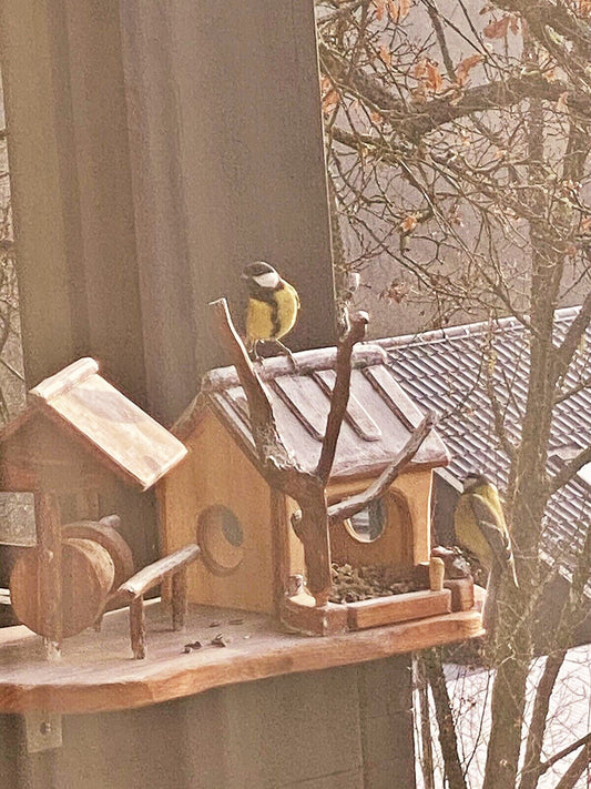 Ein Foto von einer Vogelfreundin