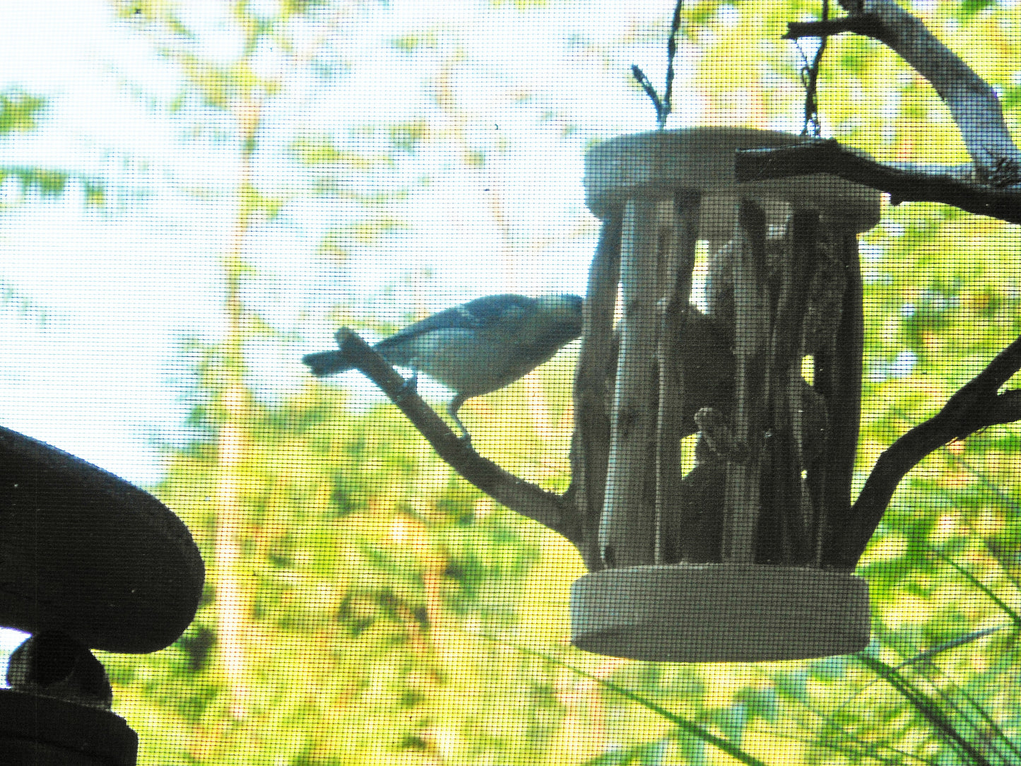 Meisenknödelhalter für Knödel ohne Netz Vogelfutter  Vogelfutterplatz Birdfeeder