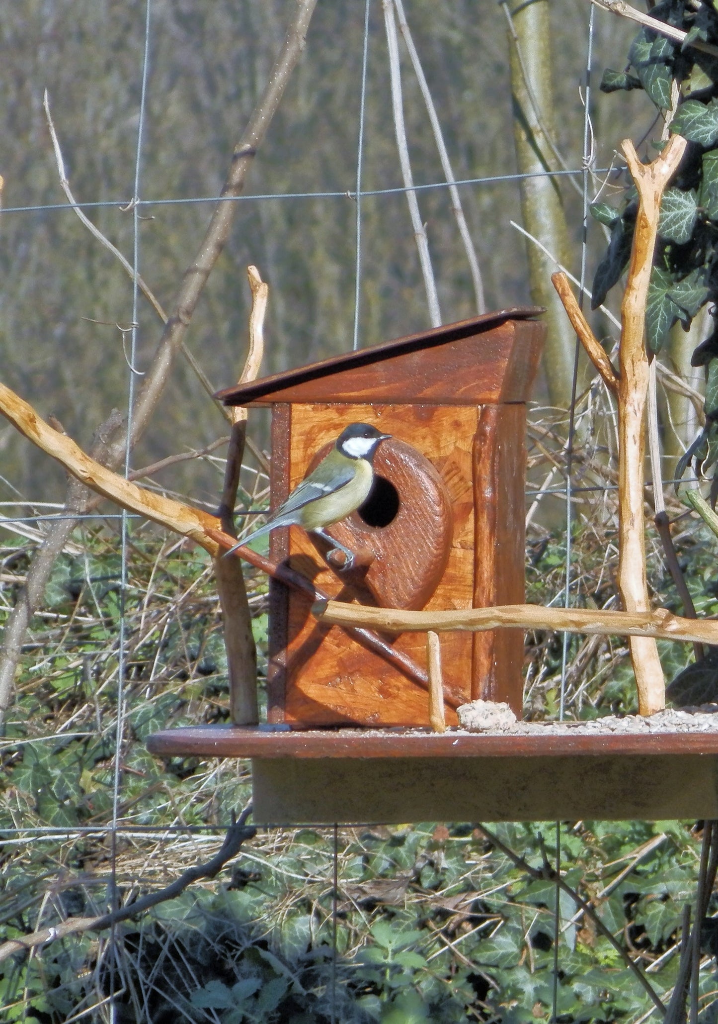 Vogelnistkasten  Nistkasten für Vögel Nestbox