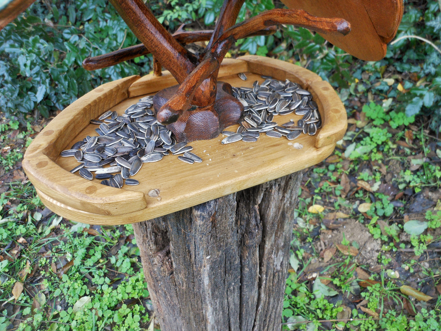 Vogelfutterhaus mit buntem Dach und Meisenknödelhalter Bird feeder with colorful roof and fat ball holder